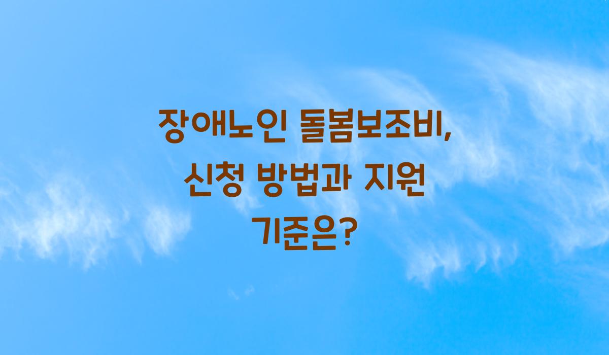 장애노인 돌봄보조비