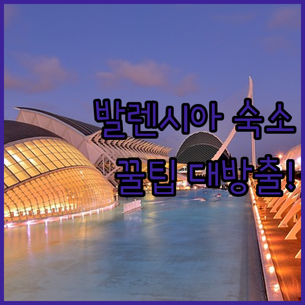 발렌시아 숙소 고민? Room00 발
