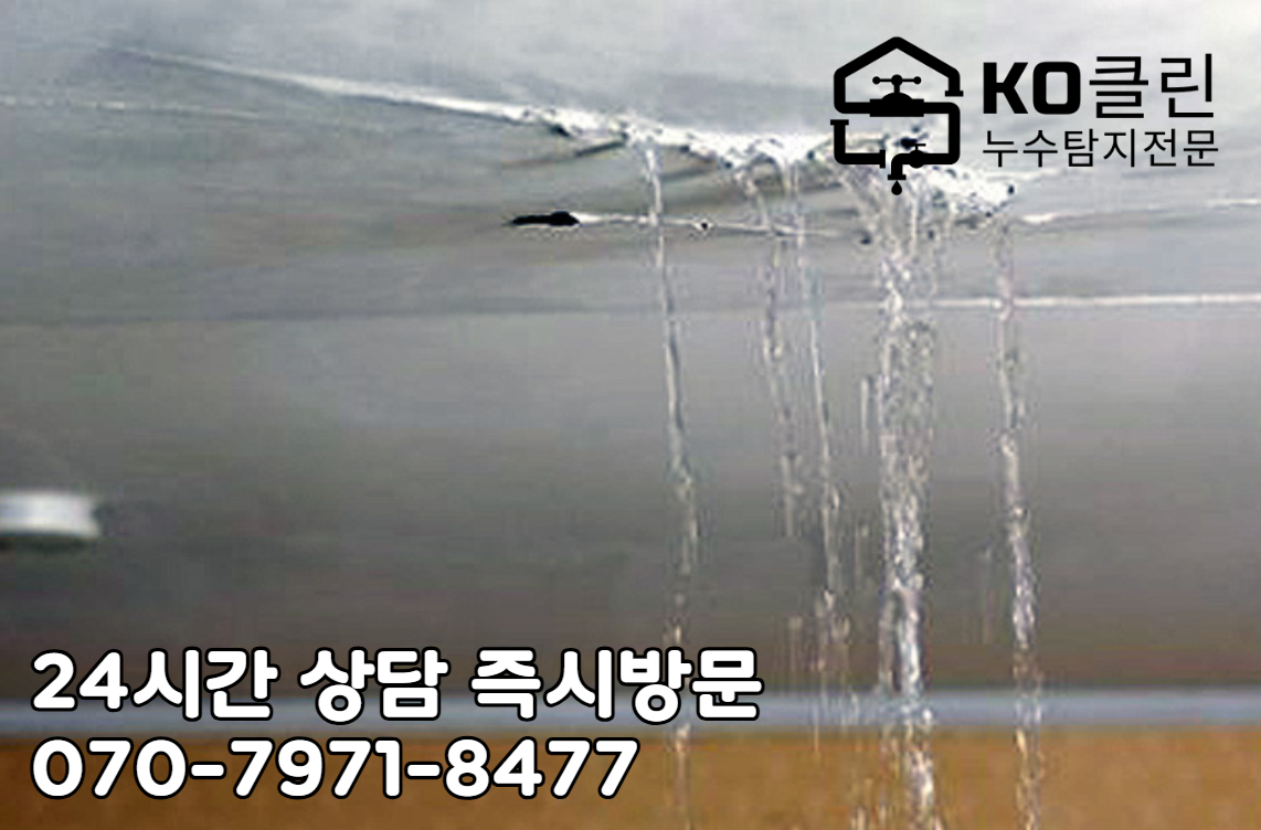 일산동구 옥상누수 전문가2