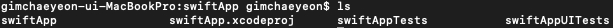  [SWIFT] Podfile 작성