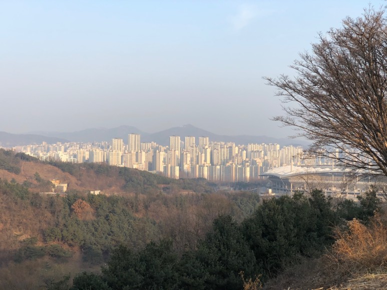 하늘공원 폐쇄 주말 하늘공원 나들이 11
