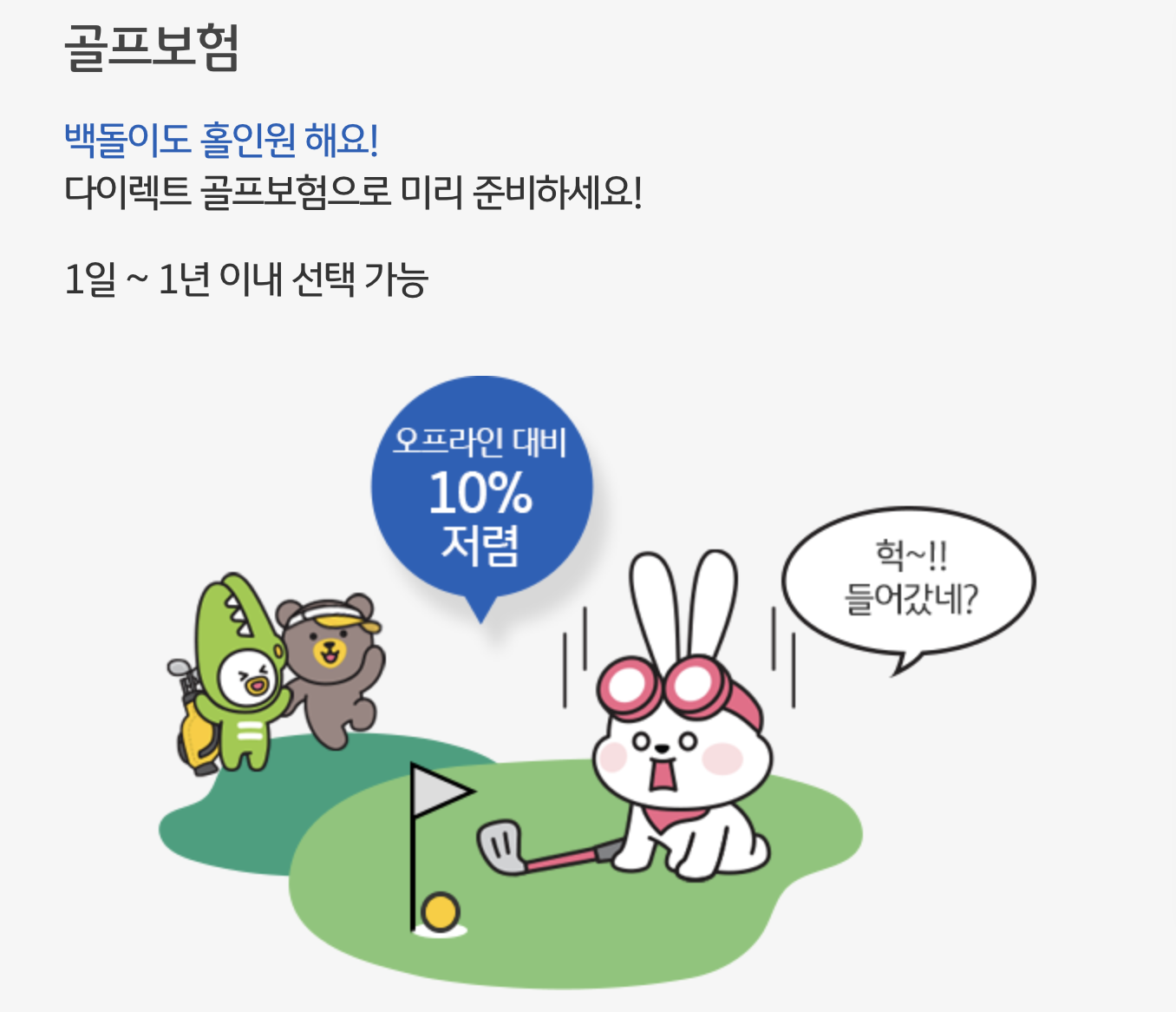 KB 골프보험