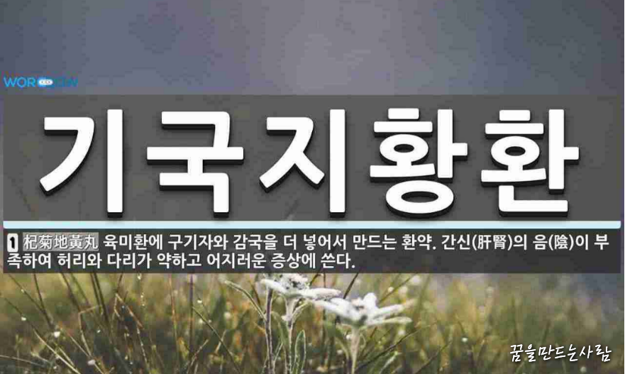 구기자 효능 19