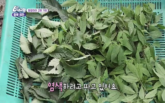 [7612회] 6시 내고향 - KBS7612회] 6시 내고향.ts_20220912_173528.276.jpg