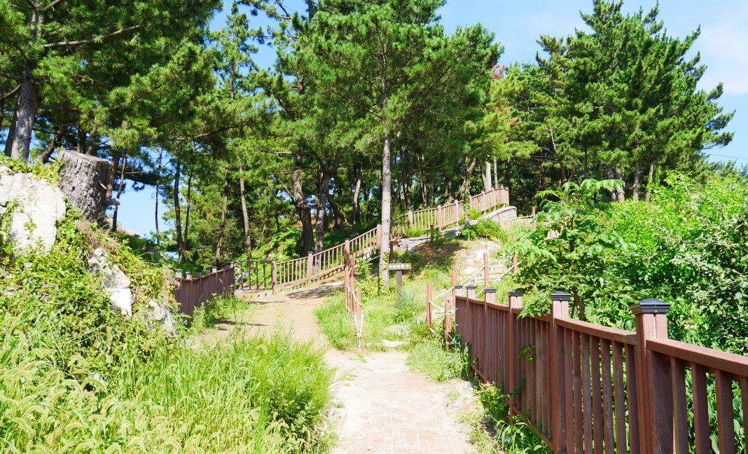 고성군 송지호 해변 서낭바위 산책로