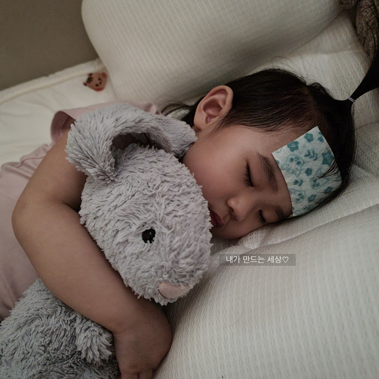  아이 상황별 추천 이유식 재료 정리 (감기, 알레르기, 설사, 변비, 빈혈 등)