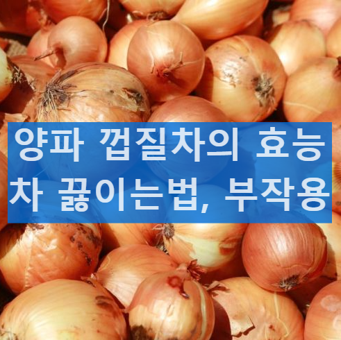 양파 껍질차 효능 끓이는법 부작용