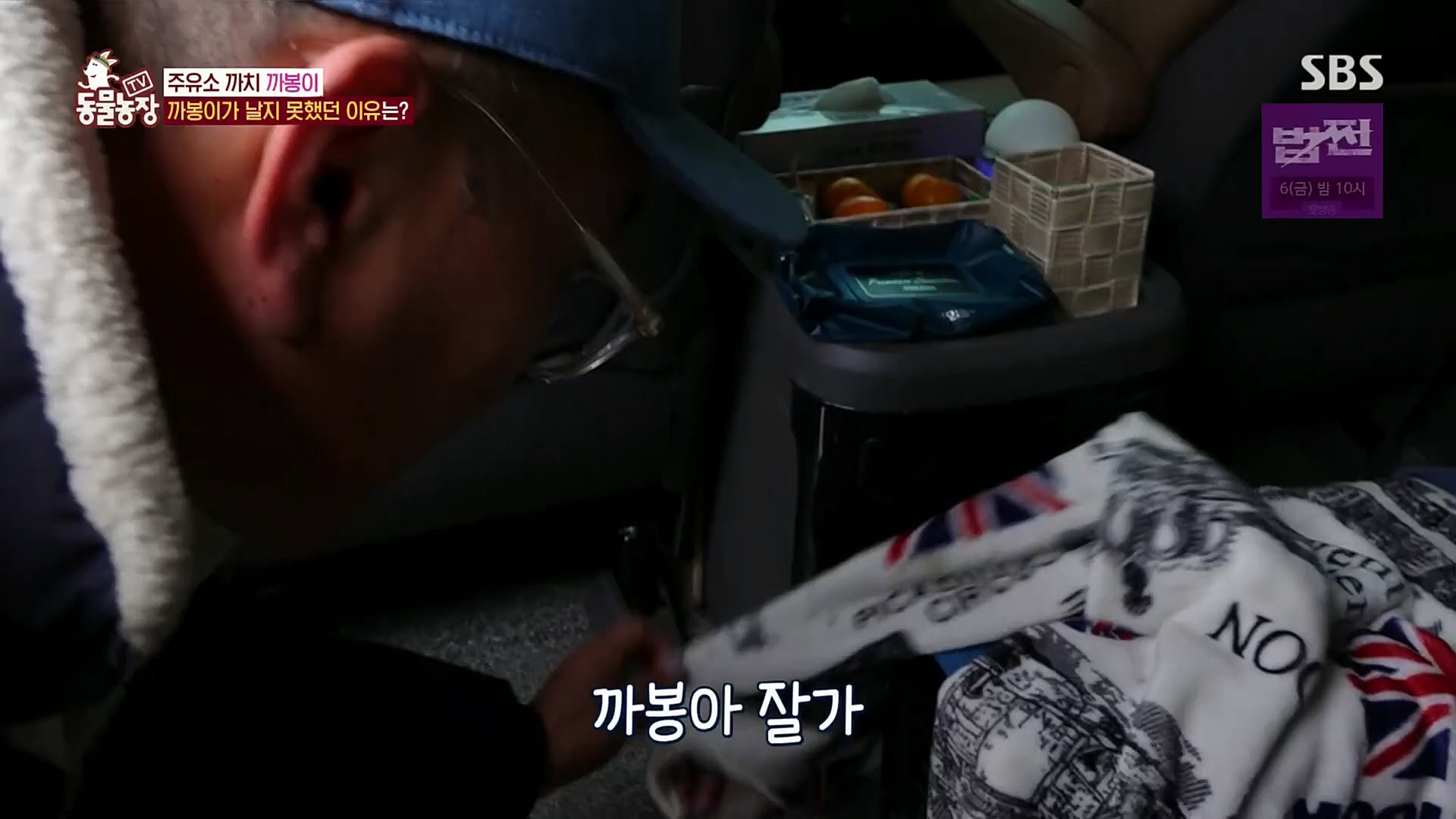TV 동물농장.E1102.230101p.H264-F1RST.mp4_20230101_182840.543.jpg