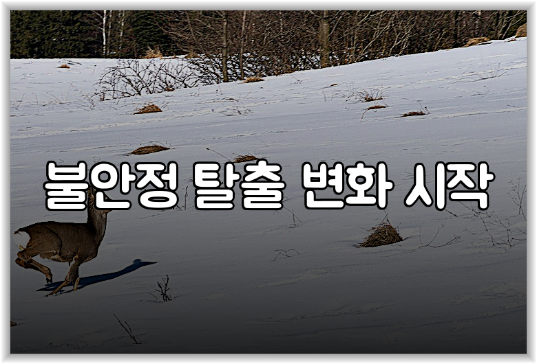 불안정 탈출 변화 시작