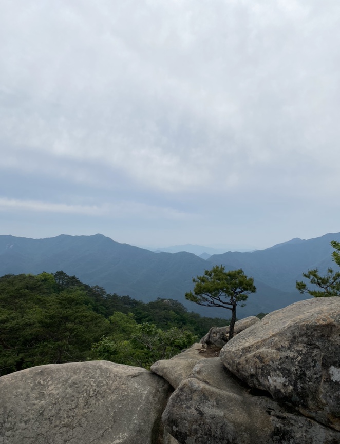여름산으로 추천하는 괴산 칠보산(778m) 숲속을 거니는 듯 시원해 28