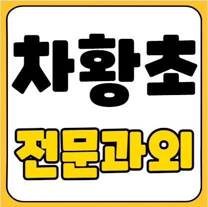  산청 수학과외 초등학생 차황초 영어과외 초등학생 국어 일대일 전과목 방문 화상 기초 선행 복습