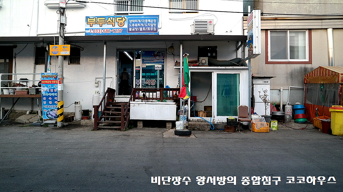 고성 대진항 수산시장 먹거리 맛집! 7