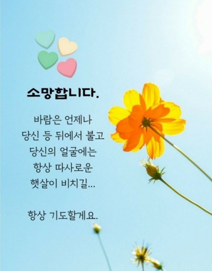  오늘의 좋은글 285번째 삶이 내 맘대로 흘러갈 수 없음을 알고 받아들이는 순간 더 좋은 일이 생기게 됩니다
