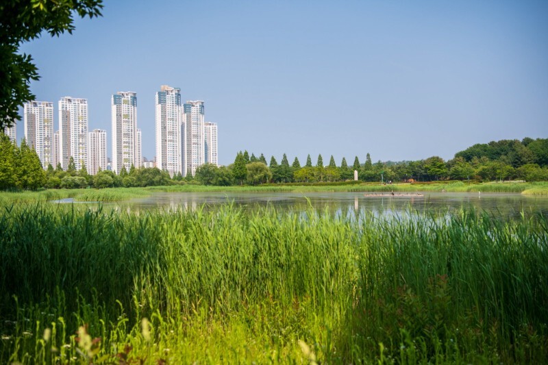 안산 호수공원