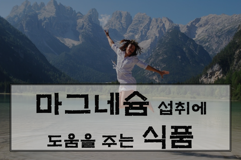  마그네슘 부족증상 눈떨림 치료방법