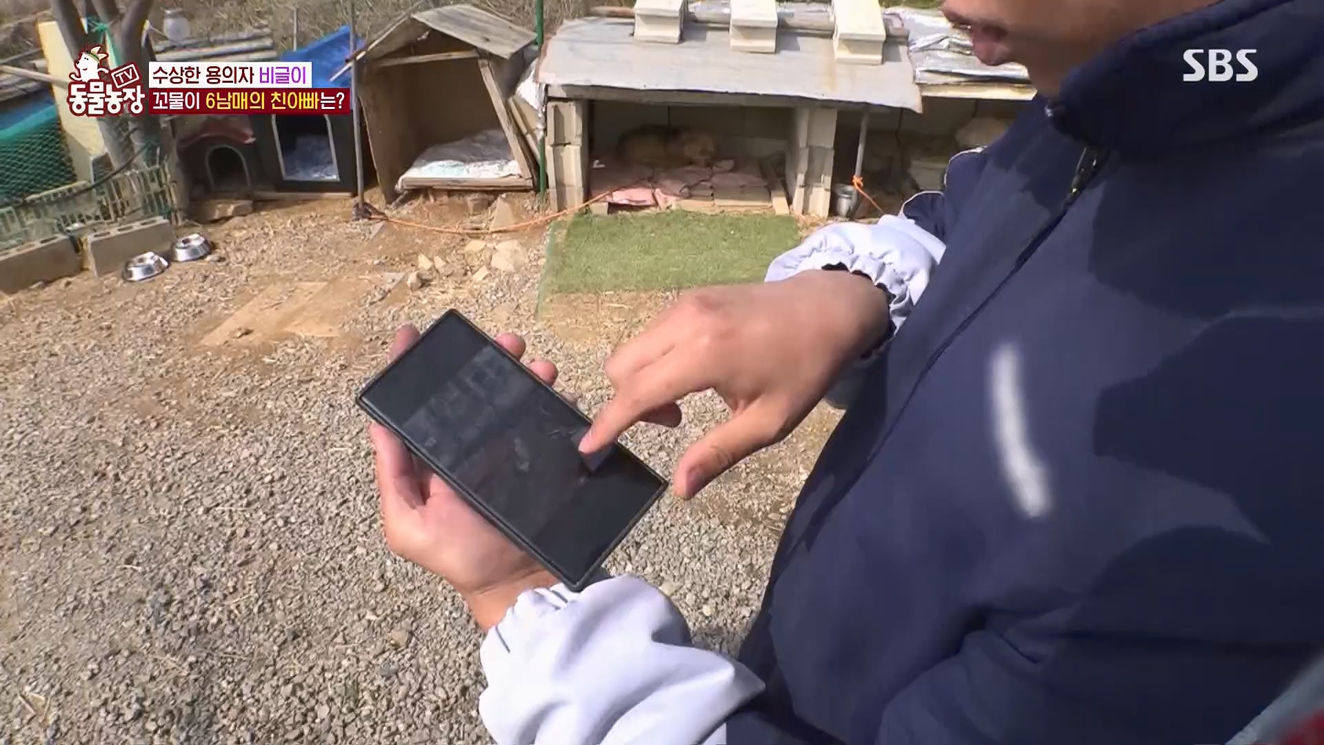 TV 동물농장.E1119.230507p.H264-F1RST.mp4_20230507_135857.113.jpg