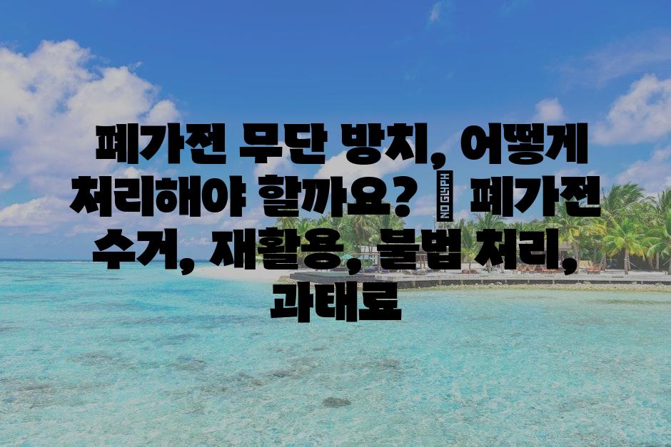 샘플 (72)