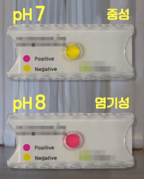 &quot;alt&quot;:&quot;신속요소분해효소 검사 진 방법&quot;