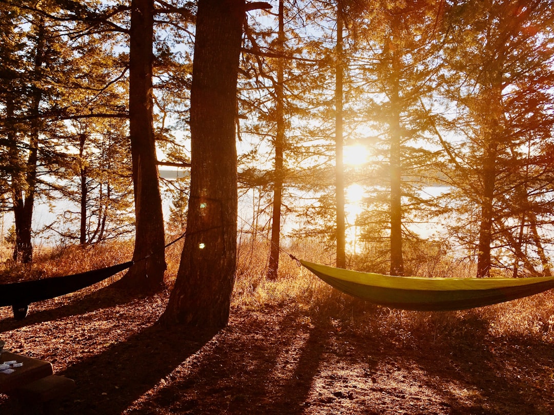 Hammock