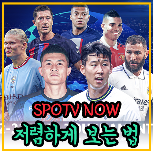 스포티비나우-공짜로보기-손흥민경기-축구보기