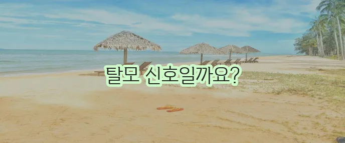 머리카락이 갑자기 많이 빠진다면 탈모 초기증상일 수 있습니다!