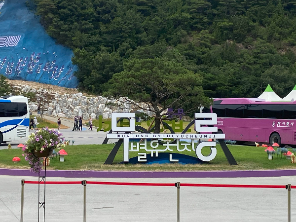 무릉별유천지 라벤더축제