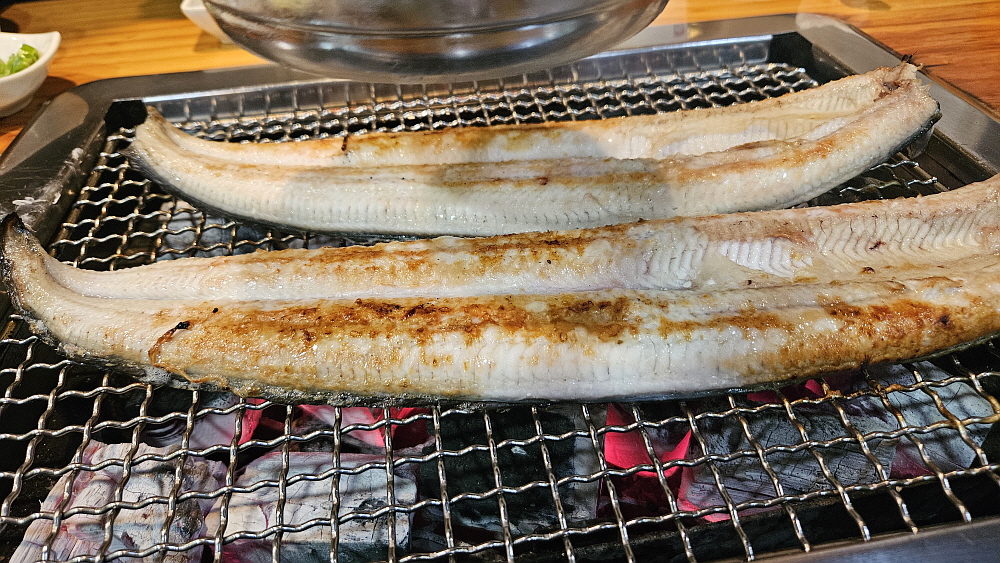 미친장어 이미지