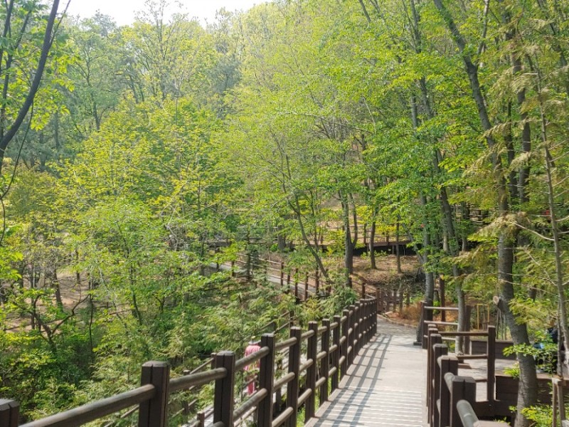  스트레스의 묘약 느리게 걷기 가능한 무장애길 걷기