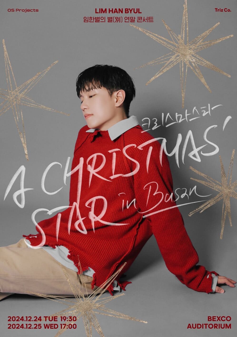 크리스마스타(A Christmas＇ Star)