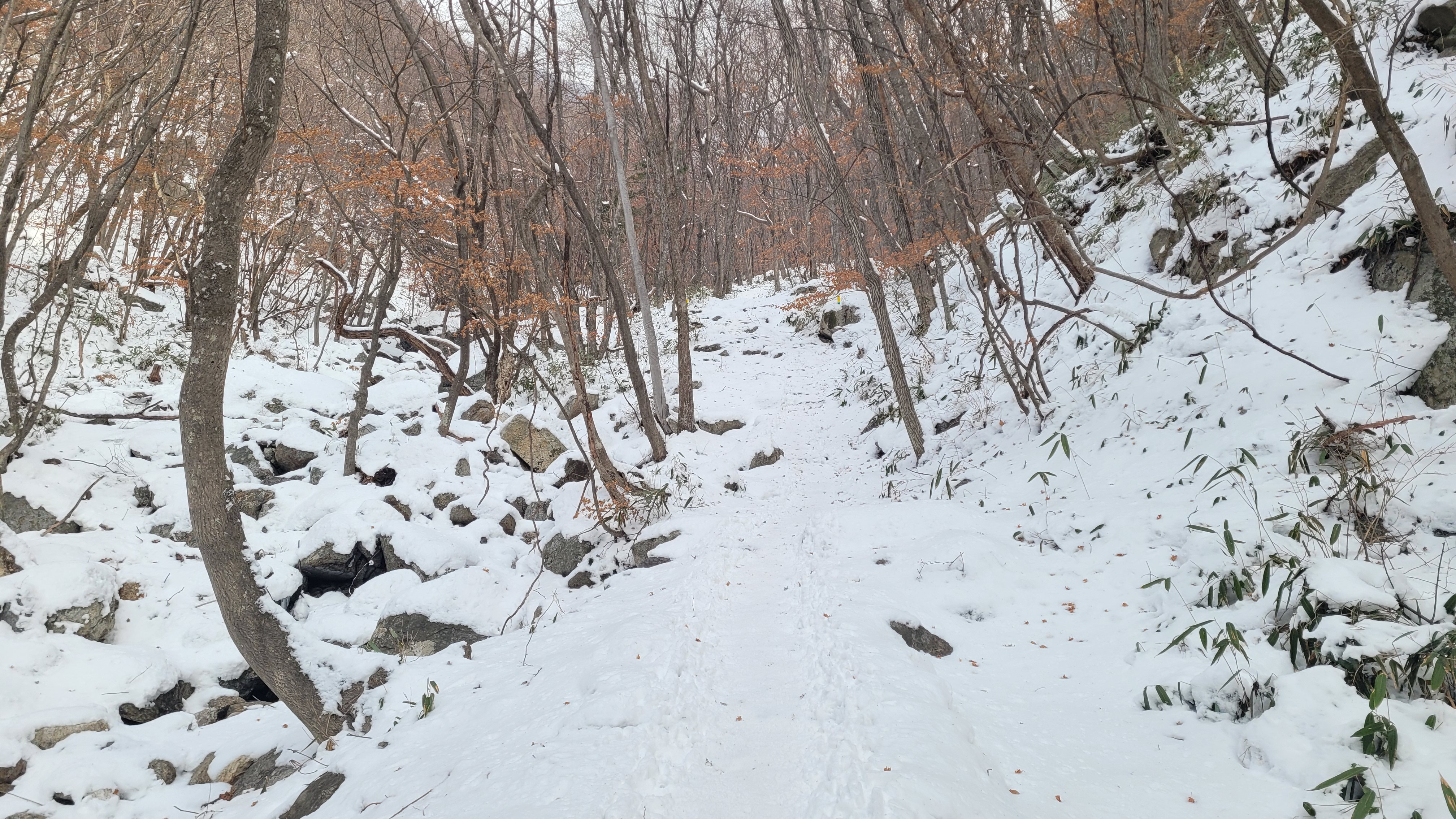 20221228_094640.jpg