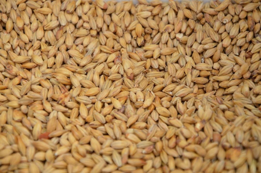 Grain
