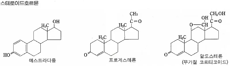 스테로이드-종류