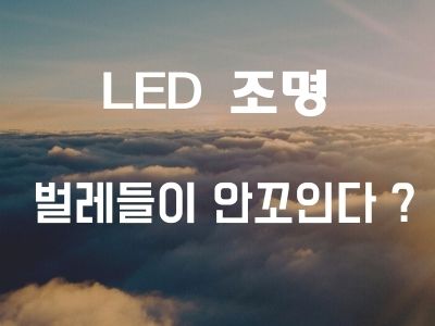  LED조명은 벌레들이 안꼬인다?