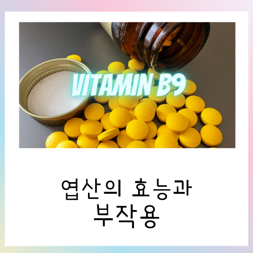  임산부에게 좋은 엽산의 효능과 부작용