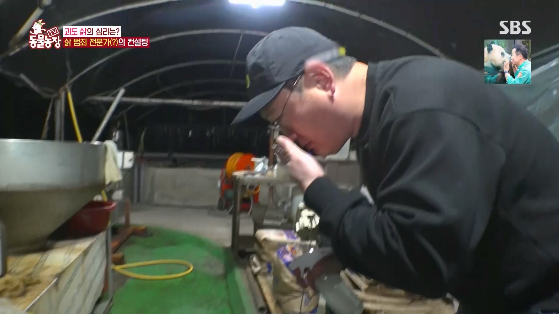TV 동물농장.E1165.240331p.H264-F1RST.mp4_20240331_144349.950.jpg