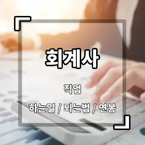 회계사