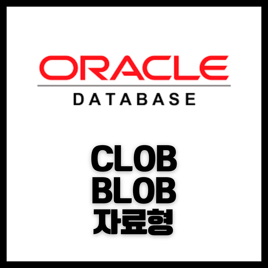 clob/blob binary 자료형 타입