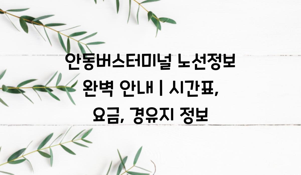 안동버스터미널 노선정보