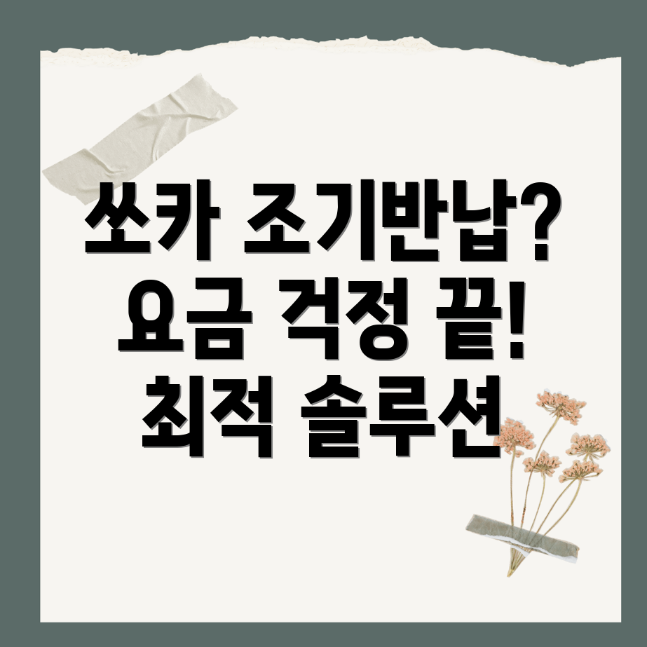 쏘카 조기반납 요금