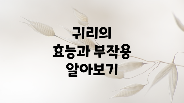  귀리의 효능과 부작용 알아보기
