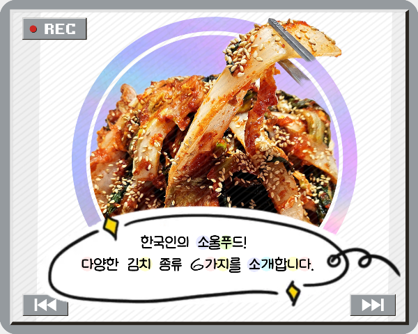 한국인의 소울푸드 김치의 종류