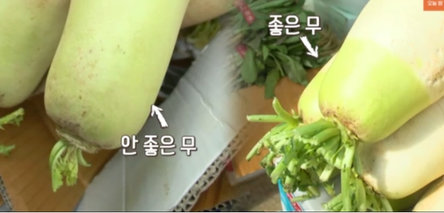 김장 김치 양념 황금레시피 (강순의 명인 알토란 레시피) 3탄 섞박지
