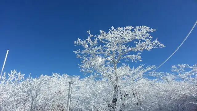 겨울여행-발왕산눈꽃