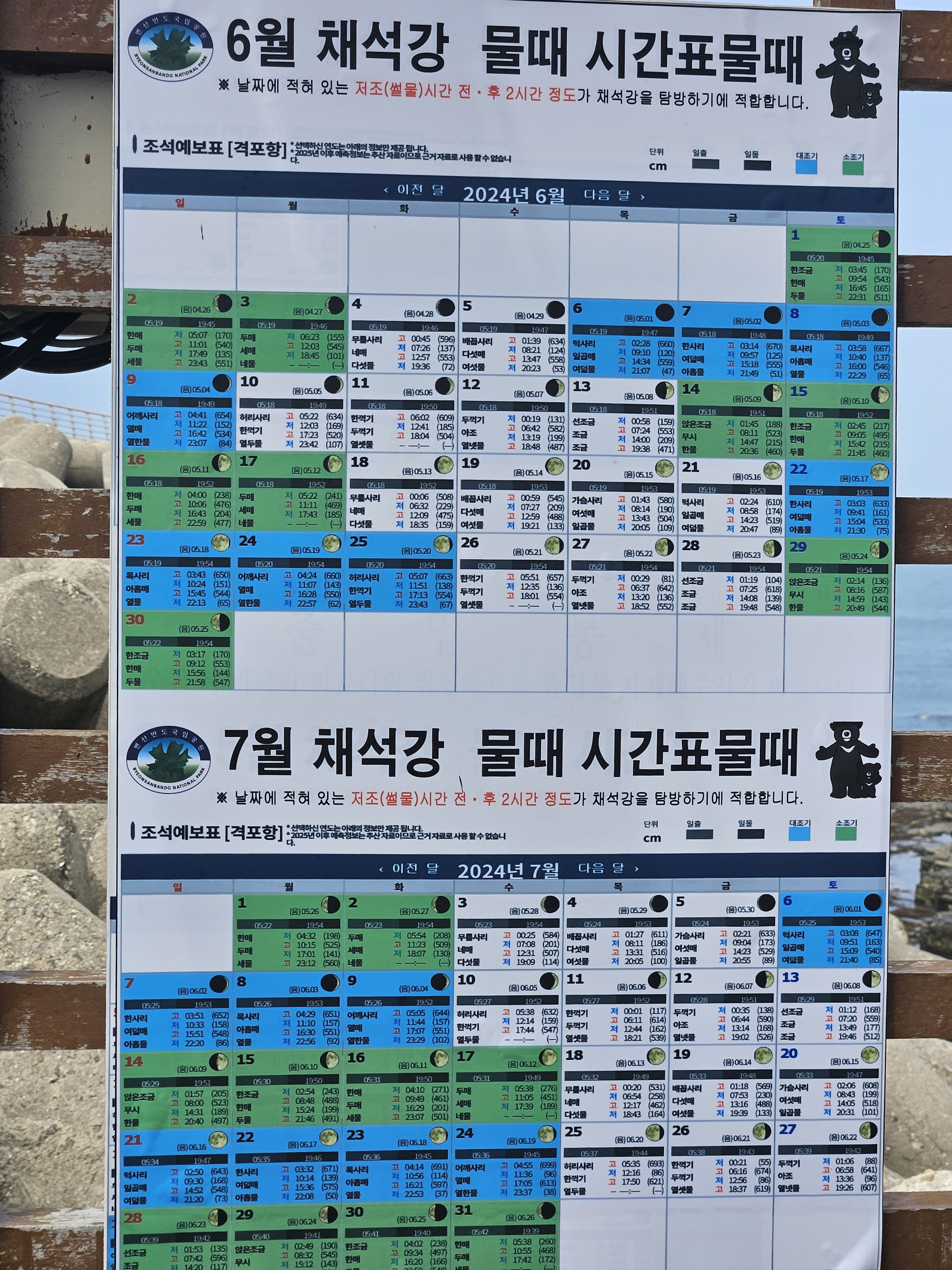 물 때 시간표