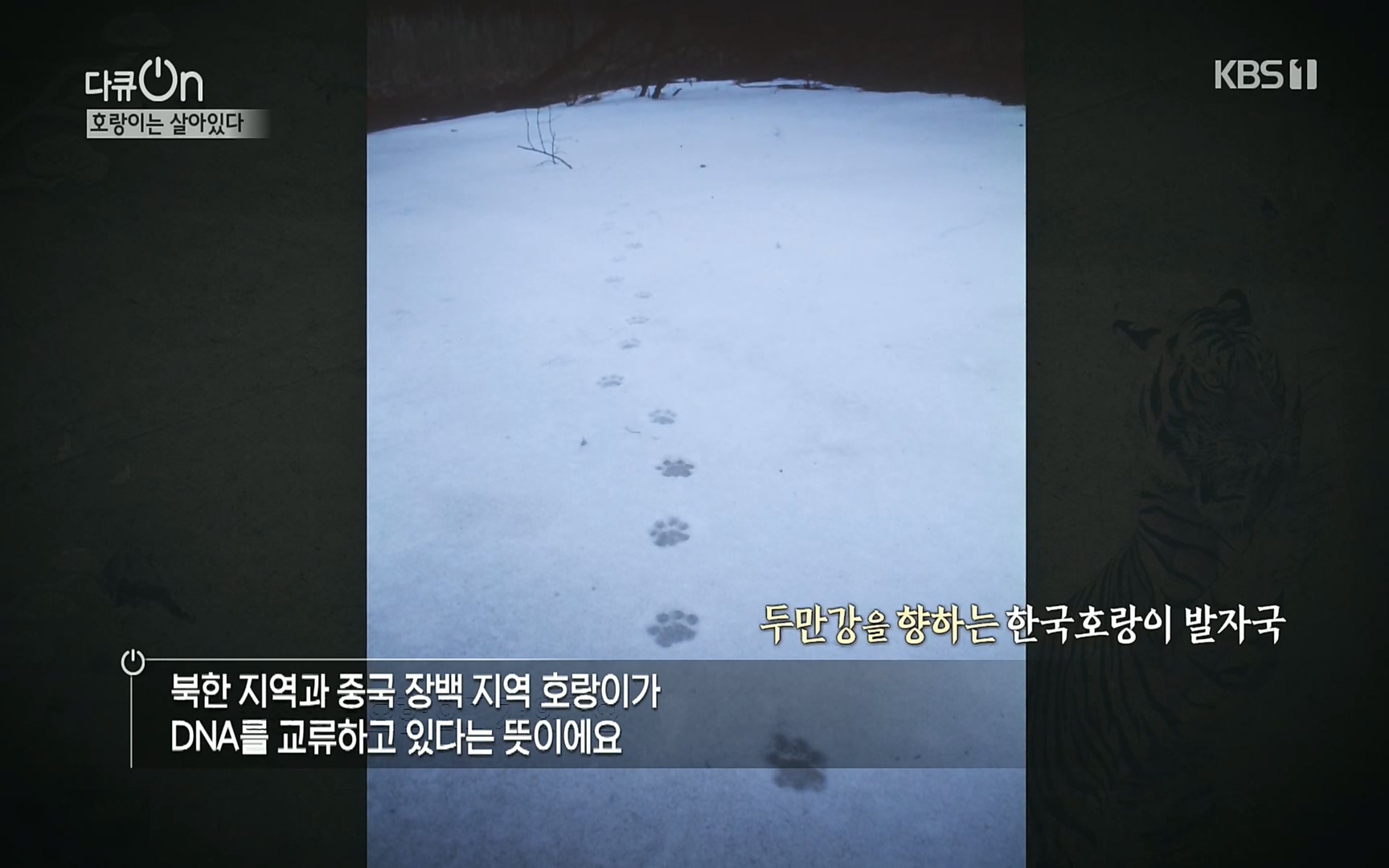 다큐 On.E150.220729p.H264-F1RST.mp4_20220730_164100.760.jpg