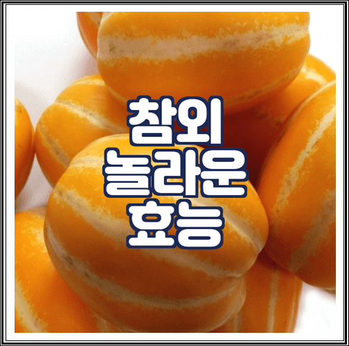  참외 효능 6가지 정리
