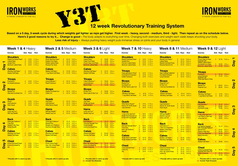 Y3T 운동 프로그램 표 모습