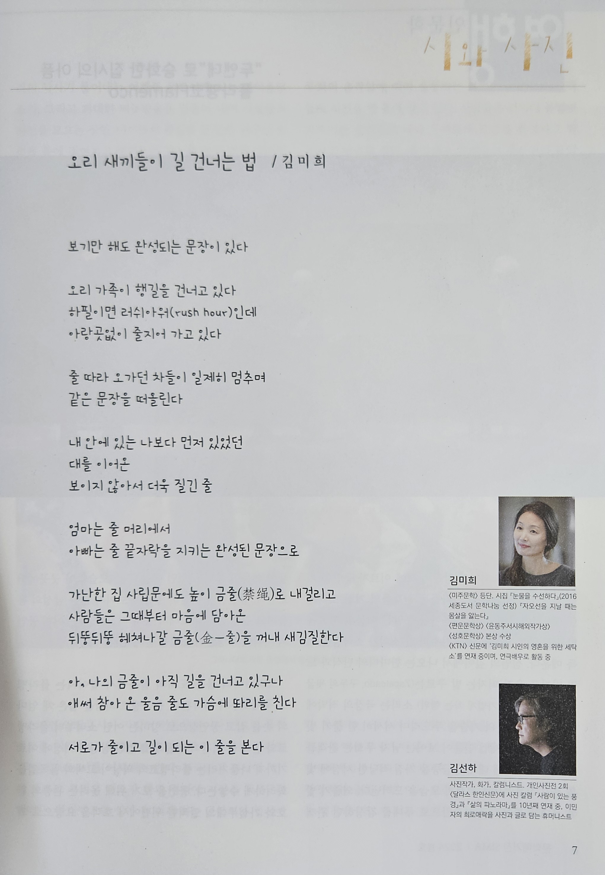 시마 이미지