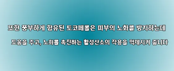  또한 풍부하게 함유된 토코페롤은 피부의 노화를 방지하는데 도움을 주고, 노화를 촉진하는 활성산소의 작용을 억제시켜 줍니다