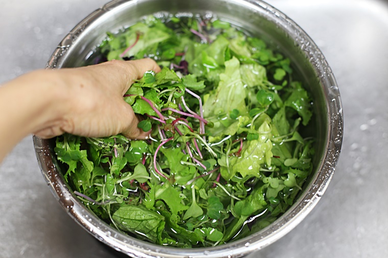 2가지 style로 알려드릴게요 유자드레싱만들기 유자청샐러드소스 1